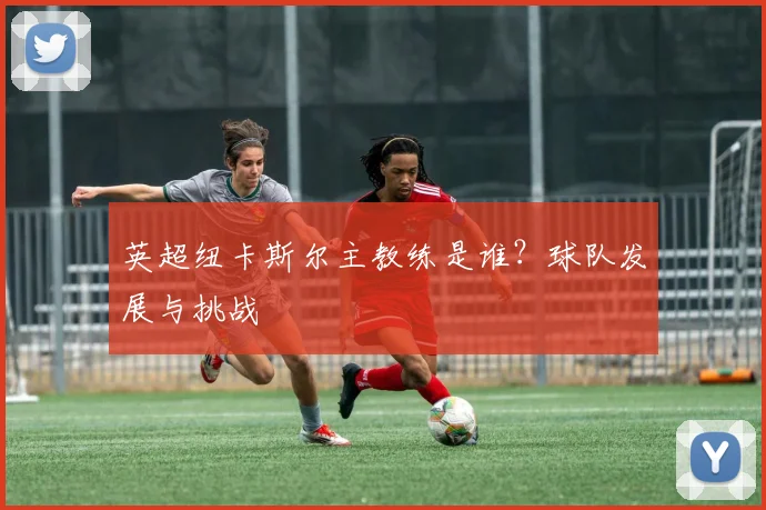 英超纽卡斯尔主教练是谁？球队发展与挑战