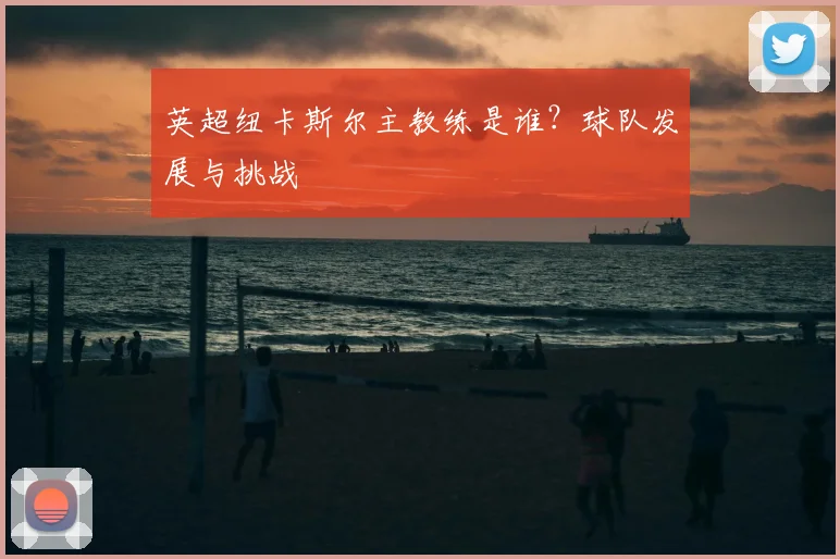 英超纽卡斯尔主教练是谁？球队发展与挑战